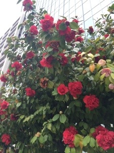 20140415-112222.jpg
